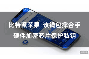 比特派苹果  该钱包撑合手硬件加密芯片保护私钥