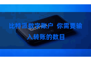 比特派数字账户  你需要输入转账的数目
